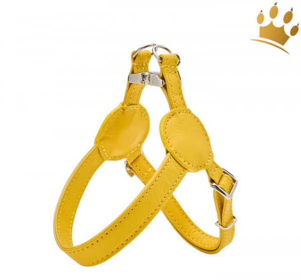 Malucchi Hundegeschirr Movie Gelb