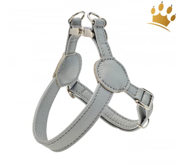 Malucchi Hundegeschirr Movie Grau