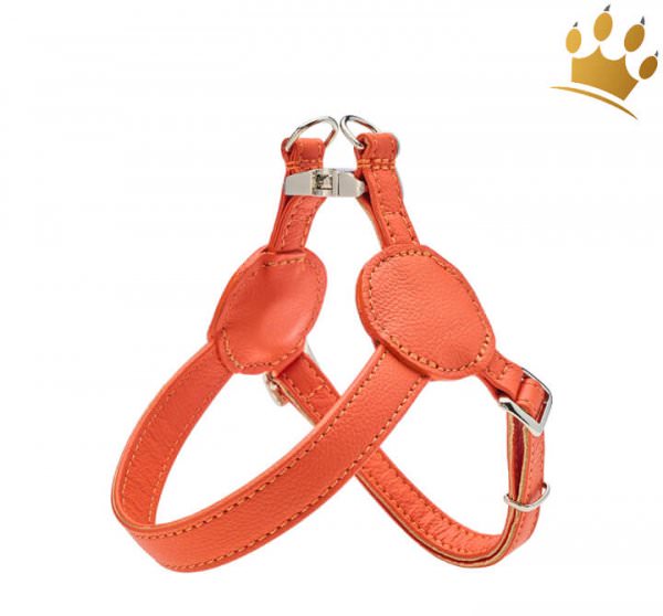 Malucchi Hundegeschirr Movie Orange
