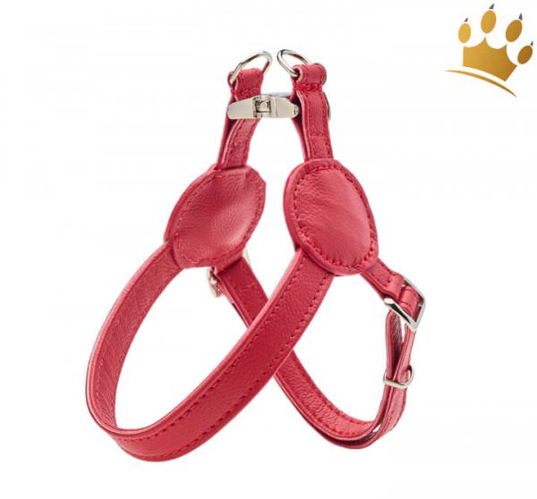 Malucchi Hundegeschirr Movie Rot