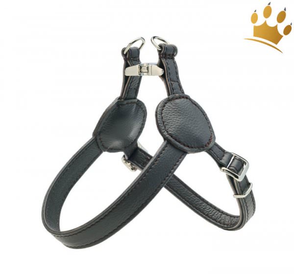 Malucchi Hundegeschirr Movie Schwarz