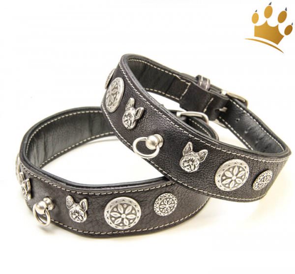 Malucchi Hundehalsband Imperial Bulldogge Schwarz