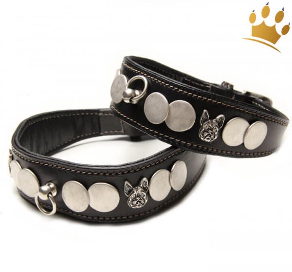 Malucchi Hundehalsband Ratier Bulldogge Schwarz Malucchi Hundehalsband Ratier Bulldogge Schwarz