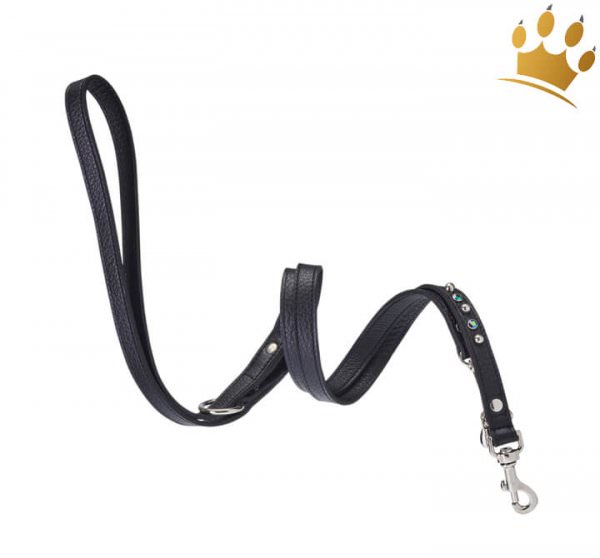 Malucchi Hundeleine Bright Schwarz