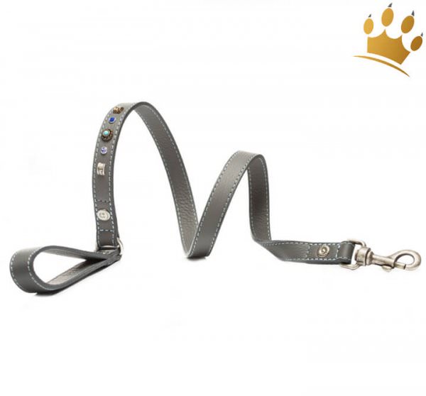 Malucchi Hundeleine GhiBli Grey