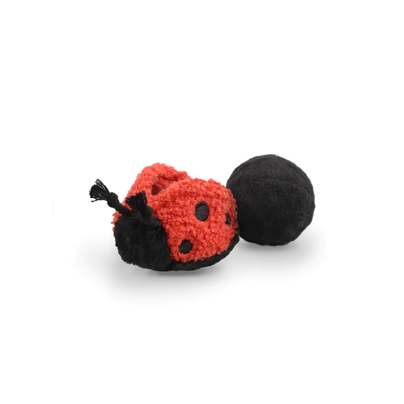 Marienkäfer Ladybug Pop