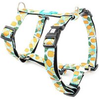 Max & Molly H-Geschirr - Sweet Pineapple XS