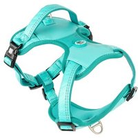 Max & Molly Sport Geschirr - Matrix 2.0 türkis M