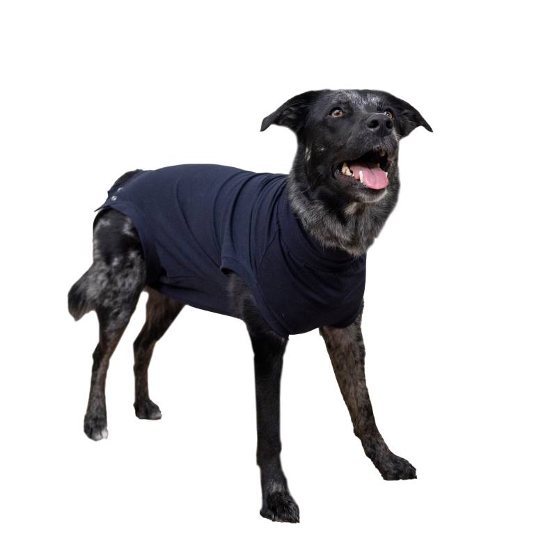 Medizinischer Hundebody - M von Romper