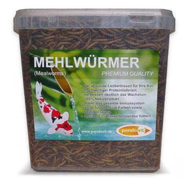 Mehlwürmer premium getrocknet (Koisnack) von Pondlife