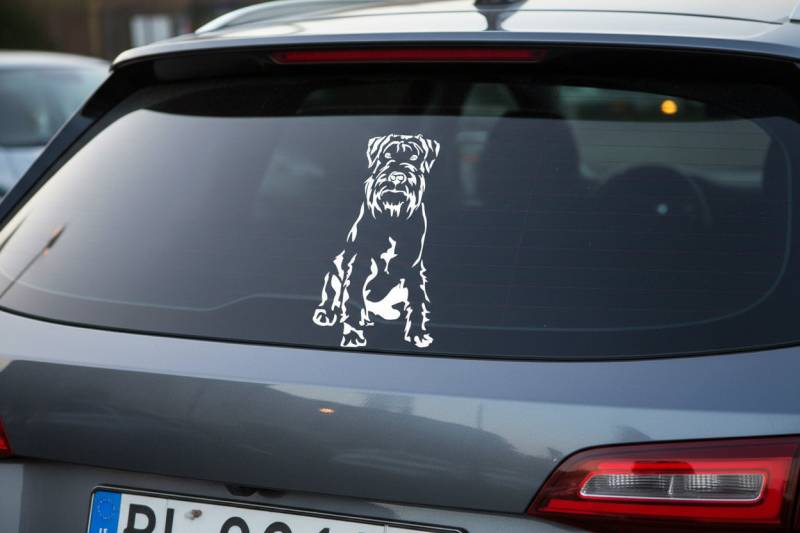 Mittelschnauzer Auto Wohnmobil Aufkleber l Wandtattoo - H30cm / Schwarz