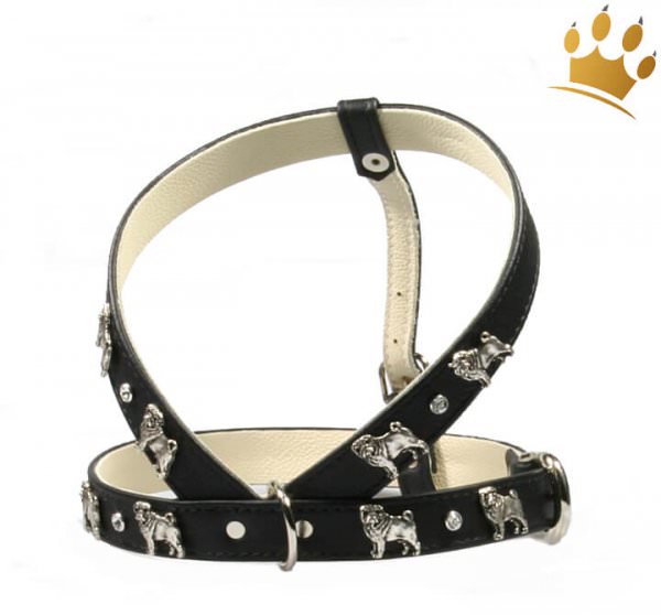 Mopsgeschirr Deluxe Schwarz