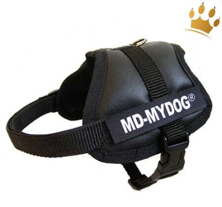 MyDog Hundegeschirr Black