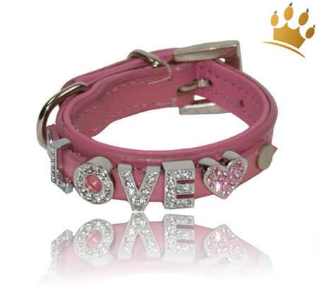 Namenshalsband Dog Rosa Namenshalsband Dog Rosa