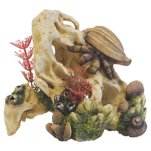 Nobby Aquariendekoration Aqua Ornaments Muschel auf Stein