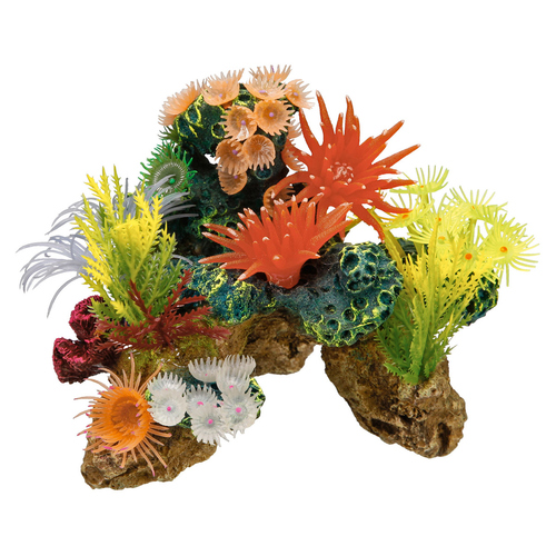 Nobby Aquariendekoration Korallen mit Pflanzen Nobby Aquariendekoration Korallen mit Pflanzen