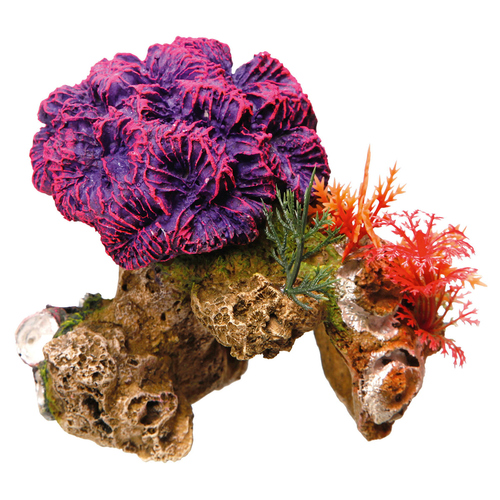 Nobby Aquariendekoration Korallenstein