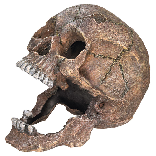 Nobby Aquariendekoration Totenkopf Nobby Aquariendekoration Totenkopf