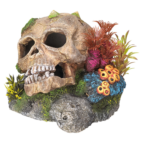Nobby Aquariendekoration Totenkopf mit Pflanzen 13,5 x 13,5 x 10,5 cm