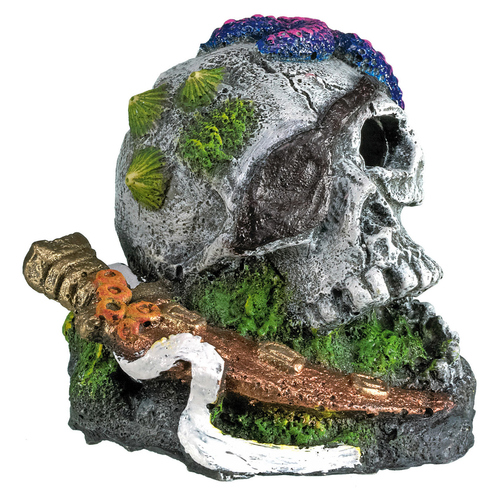 Nobby Aquariendekoration Totenkopf mit Seestern