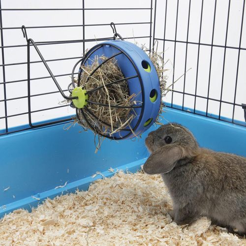 Nobby Bunny Toy