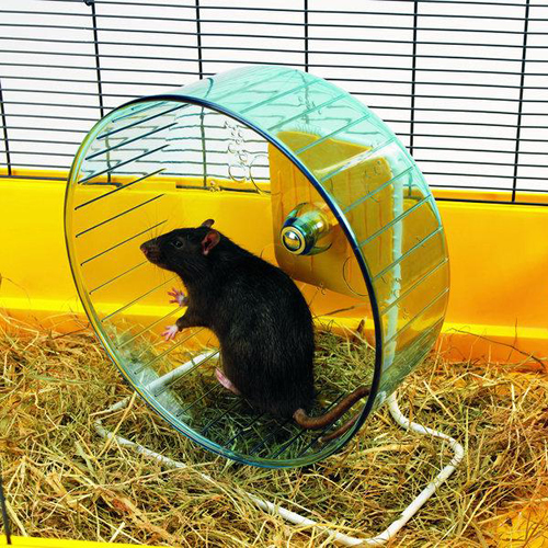 Nobby Hamsterrolle Rolly Giant