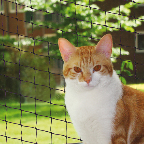Nobby Katzenschutznetz schwarz, Größe: S