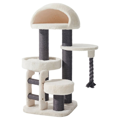 Nobby Kratzbaum Kion creme