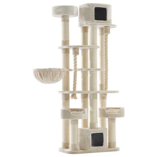 Nobby Kratzbaum Kyla cream