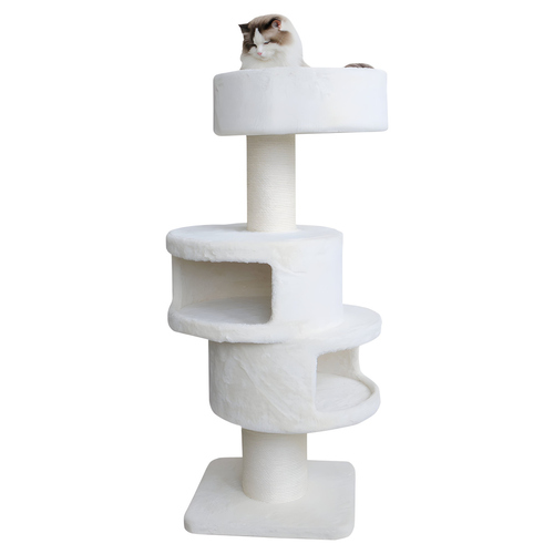 Nobby Kratzbaum Volta cream Nobby Kratzbaum Volta cream