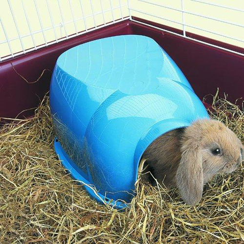 Nobby Nagerhaus Cocoon