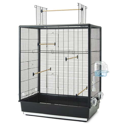 Nobby Vogelheim Primo 60 Open Empire