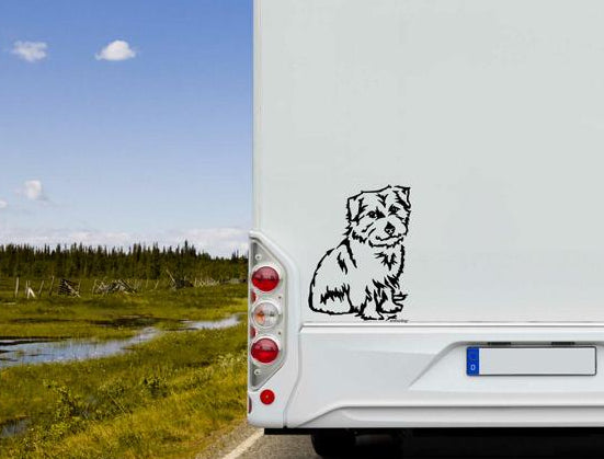 Norfolk Terrier Aufkleber Auto, Wohnmobil & Wandtattoo - H30cm / Weiß