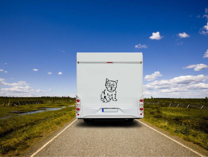 Norwich Terrier Auto Wohnmobil Aufkleber I Wandtattoo - H20cm / Schwarz