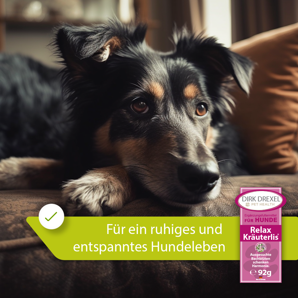 Notfall Booster Hunde