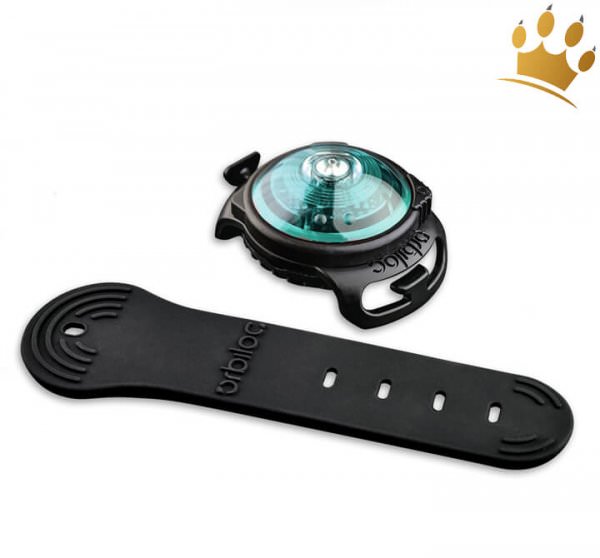 Orbiloc Lichtbutton Dog Dual Turquoise