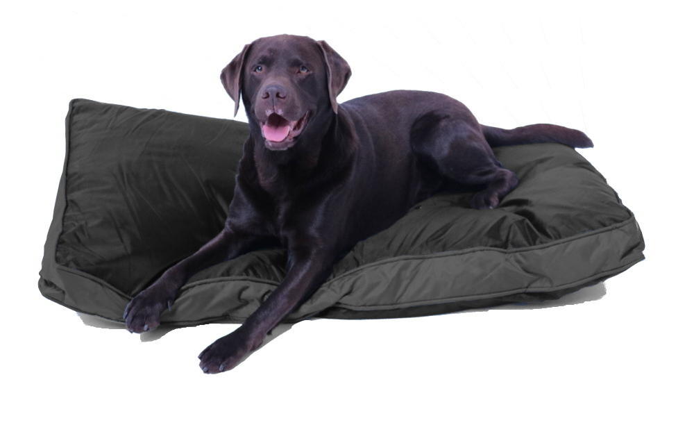Outdoor-Hundekissen 120 x 80 cm, wasserdicht und robust, schwarz
