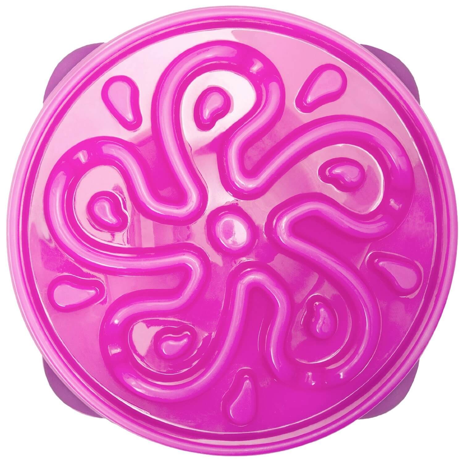 Outward Hound Fun Feeder