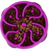 Outward Hound Fun Feeder Slo Bowl von Outward Hound