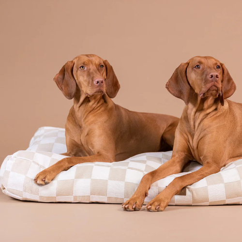 PAIKKA Hundematratze kariert beige, Maße: 85 cm x 55 cm