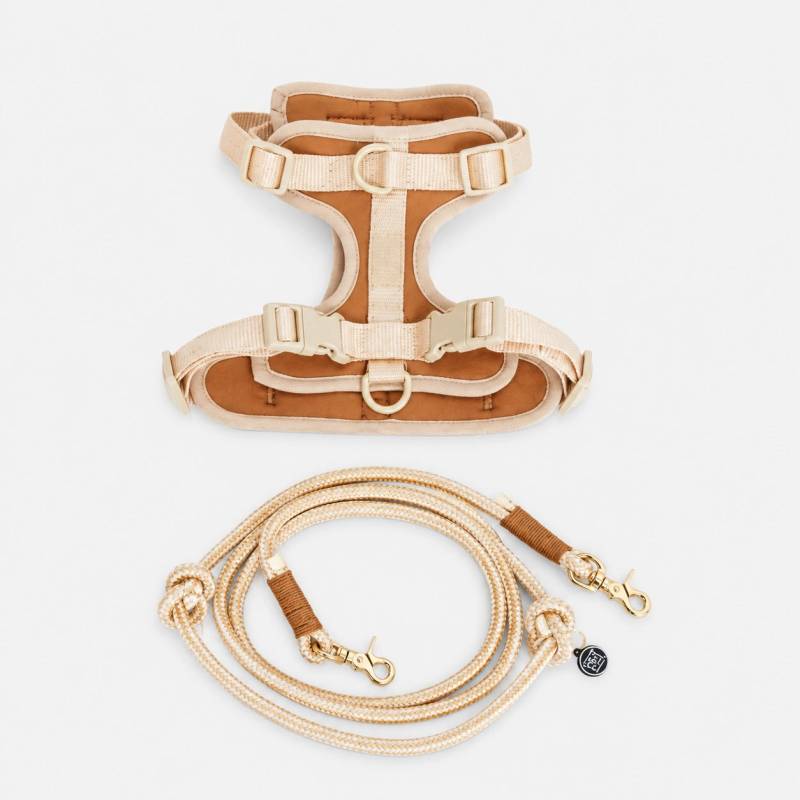 PET & Co. Ben Luxury Hundegeschirr & Leine | Neopren & Schnelltrocknend | PET & Co. PET & Co. Ben Luxury Hundegeschirr & Leine | Neopren & Schnelltrocknend | PET & Co.