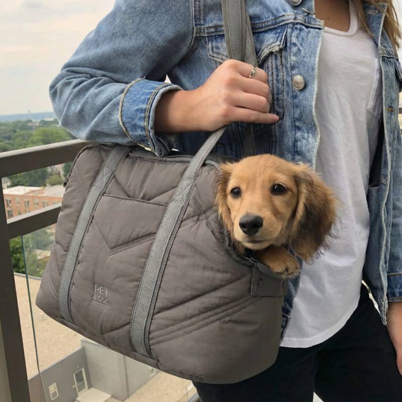 PET & Co. Lola Luxury Hundetasche | Stilvoll & Funktional | PET & Co. PET & Co. Lola Luxury Hundetasche | Stilvoll & Funktional | PET & Co.
