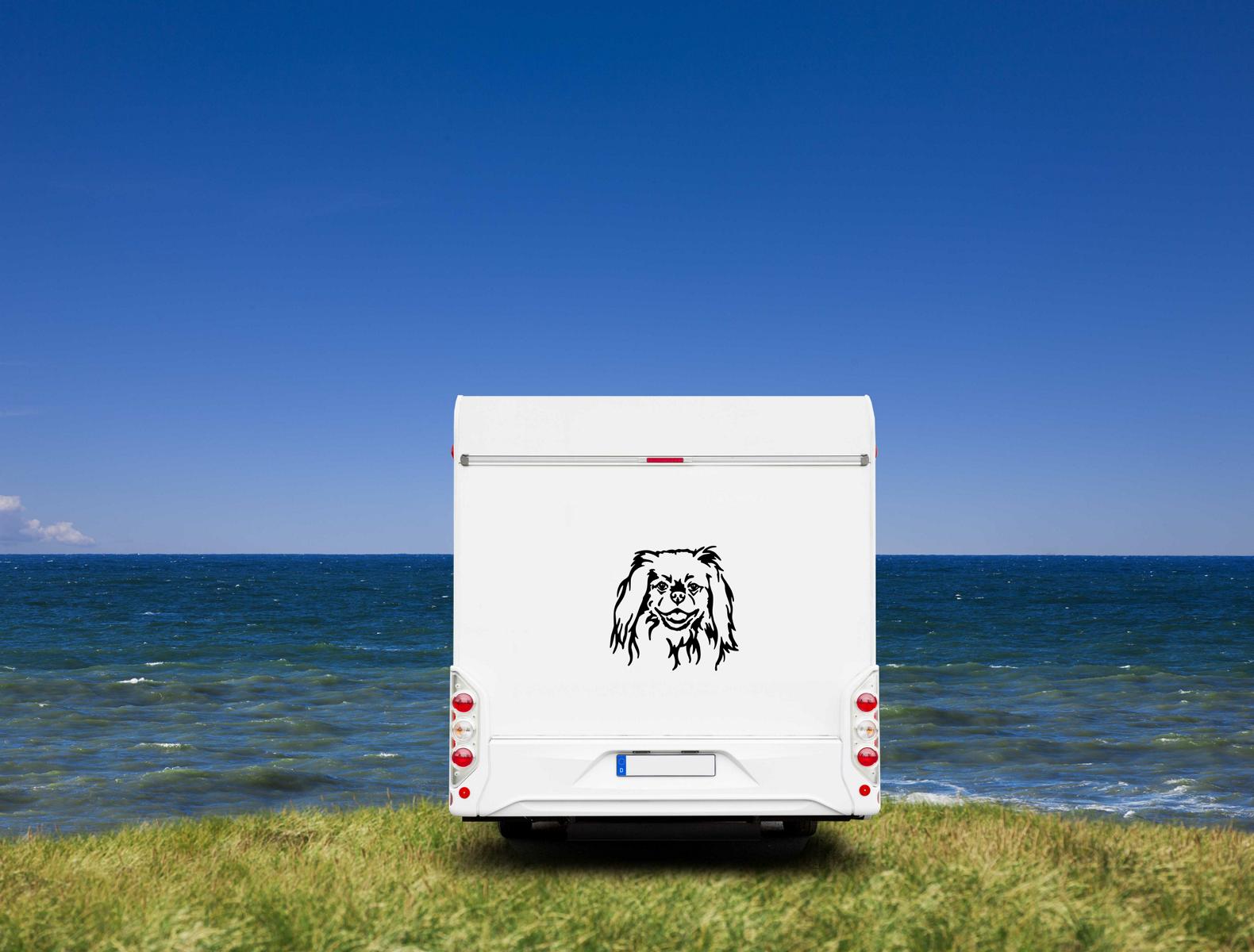 Pekinese Kopf Auto Wohnmobil Aufkleber  I Wandtattoo - H50cm / Weiß