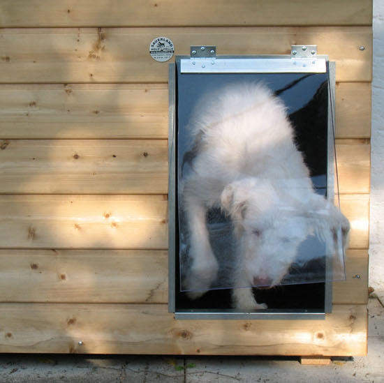 Pendelklappe für SAUERLAND Holz-Hundehütten Größe Lassie