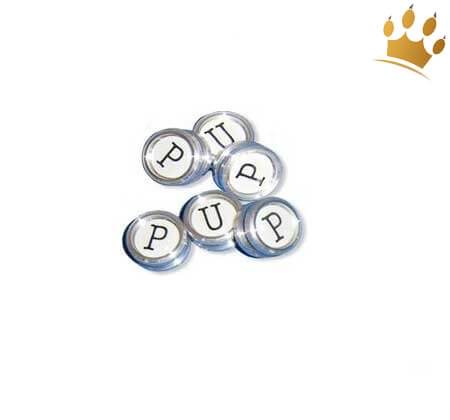 PuP-PuP-Letters