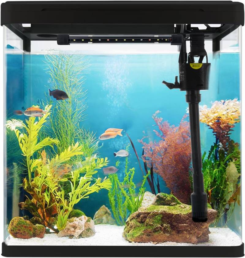 Pumpe und Filter, Glasbecken für Fische und Wasserpflanzen Pumpe und Filter, Glasbecken für Fische und Wasserpflanzen