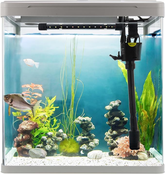 Pumpe und Filter, Glasbecken für Fische und Wasserpflanzen Pumpe und Filter, Glasbecken für Fische und Wasserpflanzen