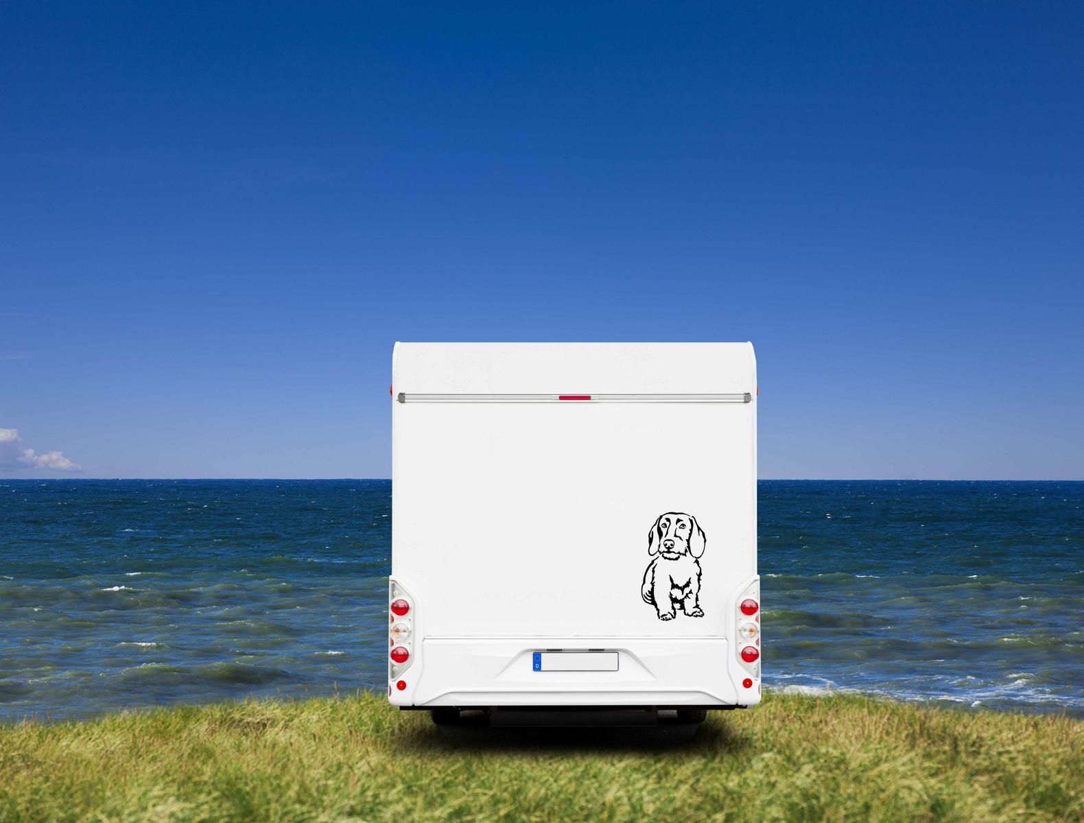 Rauhaardackel Dackel Auto Wohnmobil Aufkleber I Wandtattoo - H50cm / Weiß