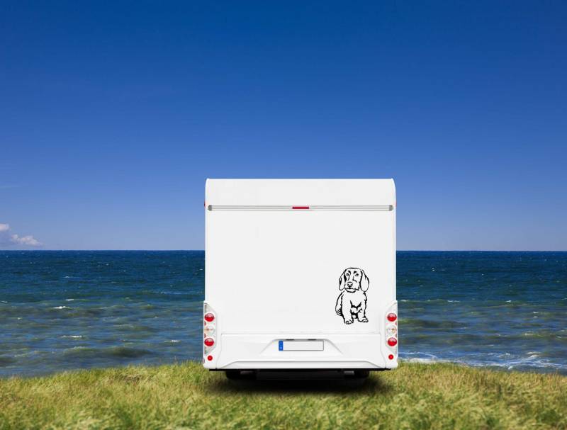 Rauhaardackel Dackel Auto Wohnmobil Aufkleber I Wandtattoo - H50cm / Weiß