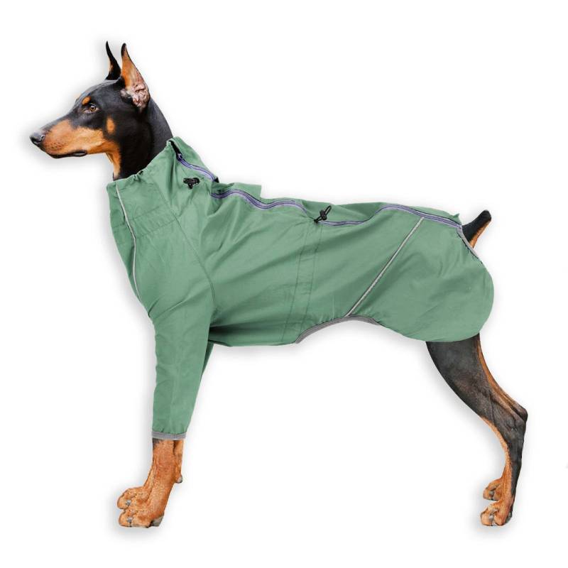 Regenmantel Hund in gr?n - S